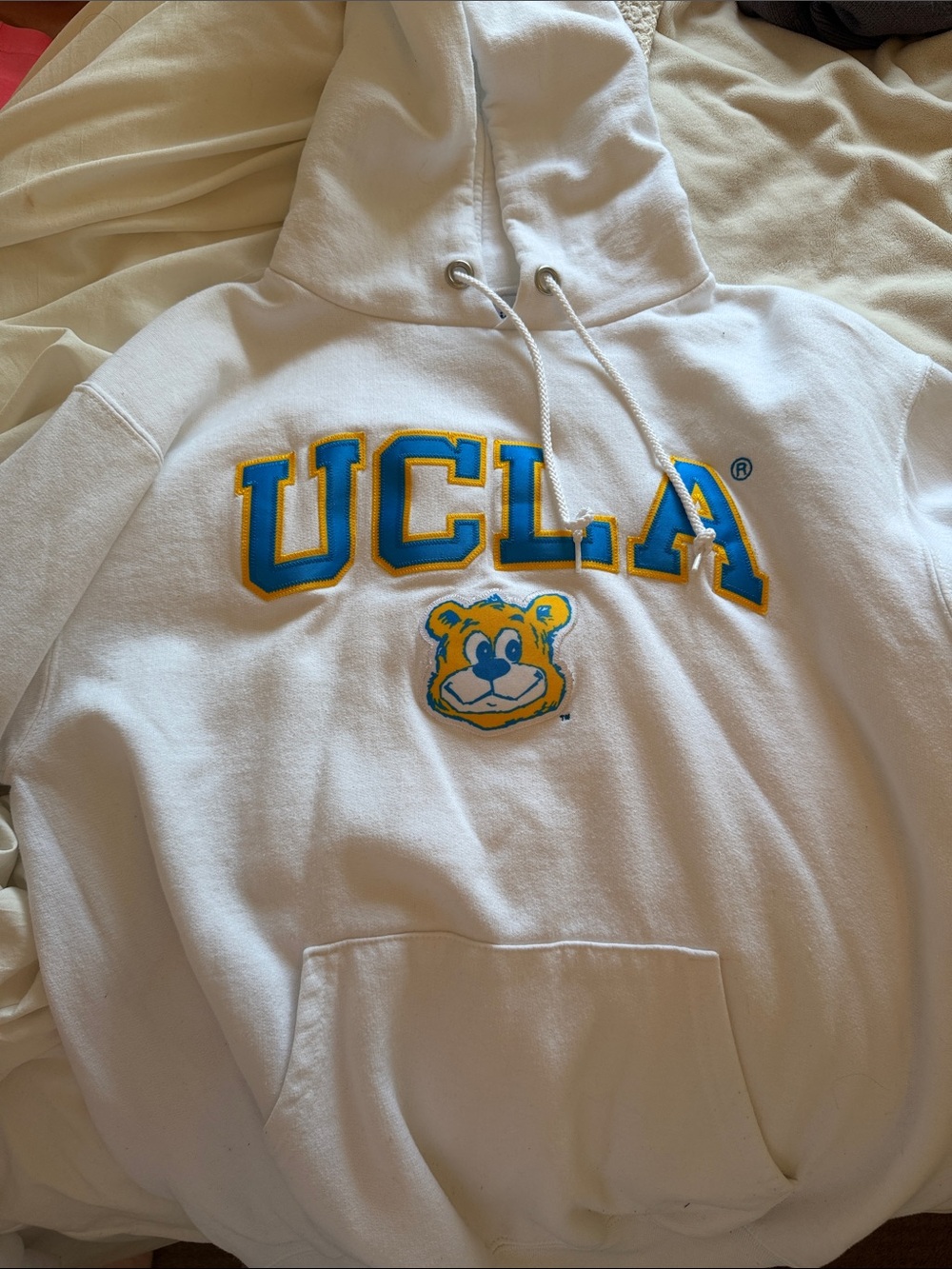 UCLA Champion Hoodie Sweatshirt